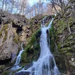 Cicovic Daire *