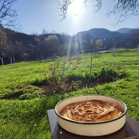 Cicovic דירה פוצ'ה