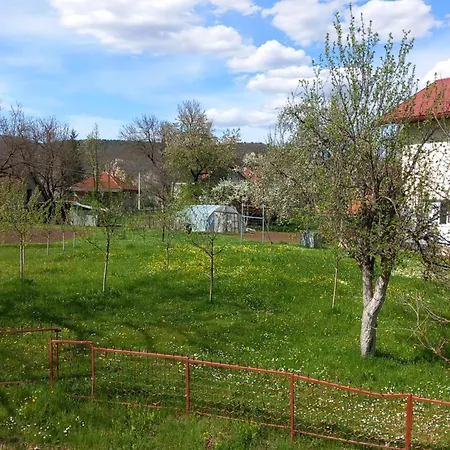 דירה Cicovic פוצ'ה