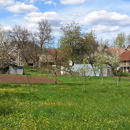 Cicovic דירה פוצ'ה